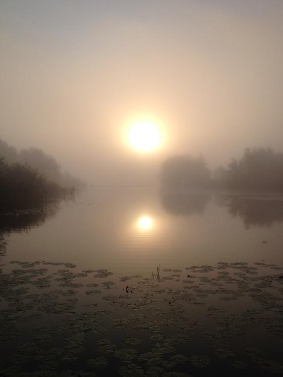 Studio Lakeside Spiegelplas Nederhorst den Berg ห้อง รูปภาพ