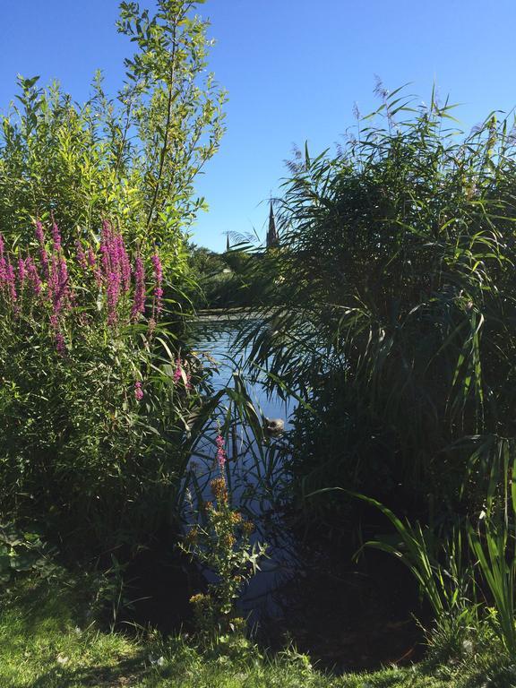 Studio Lakeside Spiegelplas Nederhorst den Berg ภายนอก รูปภาพ